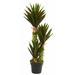 Bay Isle Home™ 35" Artificial Agave Plant in Pot Silk/Plastic | 42 H x 9 W x 9 D in | Wayfair BD8F4843A6AE4BBB9B9BE4E16329325F