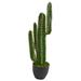 Primrue 29.5" Artificial Cactus in Pot Plastic | 30 H x 8 W x 8 D in | Wayfair D66A7F79041640CC9BD608EEABF551F3