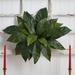 Charlton Home® Bird's Nest Fern Floor Foliage Plant Silk/Plastic | 22 H x 6 W x 6 D in | Wayfair 352BEBFEEFB846B7BFB4DB730FC44C99