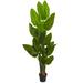 Bay Isle Home™ 65" Artificial Canna Floor Foliage Tree in Planter Silk/Plastic | 72 H x 12 W x 8 D in | Wayfair 6B9A42D20D9C40929815263FA0CC513C