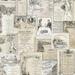 Ophelia & Co. Grijalva 32.7' x 20.5" Vintage Menu Roll Wallpaper Paper in White | 20.5 W in | Wayfair CF80D400C2BF4928A15318CA7DD09CB3