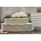 Red Vanilla Country Villa 11.5" Dinner Plate Ceramic/Earthenware/Stoneware in White | Wayfair EX900-401