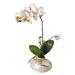 Regency International Mini Orchid Flower in Ceramic Pot | 15 H x 4 W x 3 D in | Wayfair MTF20523-WHT