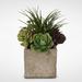 17 Stories Artificial Desktop Succulent & Grass Arrangement Plant in Pot | 13 H x 9 W x 9 D in | Wayfair STSS6157 42687900