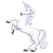 The Beistle Company Unicorn Standup | 54 H x 45 W x 0.01 D in | Wayfair 59636