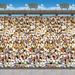 The Party Aisle™ Upper Deck Stadium Backdrop Wall Decor | 23 H x 6.5 W in | Wayfair A5B28D6E127345CF8BA80B88499CCDEC