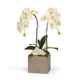 T&C Floral Company Orchid Floral Arrangement in Planter w/ Quartz in White | 24 H x 12 W x 12 D in | Wayfair S1611SW