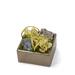 T&C Floral Company Orchids Floral Arrangement in Planter, Crystal in Green | 8 H x 8 W x 8 D in | Wayfair S1805SW