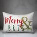 The Holiday Aisle® Carroll Merry & Bright Throw Pillow Polyester/Polyfill blend | 20 H x 14 W x 1.5 D in | Wayfair 3B303C6FFD674A1C9E8D660AC9339346