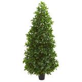 Alcott Hill® 5ft. Bay Leaf Cone Topiary Artificial Tree UV Resistant (Indoor/Outdoor) Silk/Plastic | 60 H x 19 W x 19 D in | Wayfair