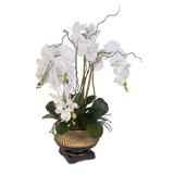 Astoria Grand Chic Orchid Nestled Floral Arrangement in Vase, Bamboo | 29 H x 18 W x 20 D in | Wayfair ARGD2572 42687638