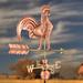 Good Directions Rooster Weathervane Metal | 40 H x 18 W x 25 D in | Wayfair 501P