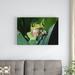 East Urban Home 'Blue-Sided Leaf Frog Hanging on Leaf' Photographic Print on Canvas in White | 24 H x 36 W x 1.5 D in | Wayfair URBH8304 38406560