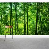 Wallums Wall Decor Leafy Bamboo Forest 8' x 144" 3 Piece Wall Mural Fabric in Green | 144 W in | Wayfair 104091641-144x96