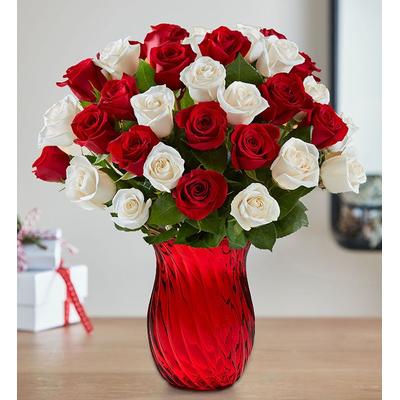 1-800-Flowers Flower Delivery Peppermint Rose Bouquet 36 Stems W/ Red Vase