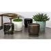 World Menagerie I/O Series 6-Piece Terracotta Pot Planter Set Clay & Terracotta | 5.5 H x 5.5 W x 5.5 D in | Wayfair