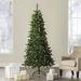 The Holiday Aisle® Green Artificial Fir Christmas Tree, Metal | 7' H | Wayfair C46A79B2443A4F7FB965EFD31CD15E29