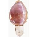 Seashell Night Light Purple Top Tiger Cowrie Beach Decor w. Automatic Sensor .