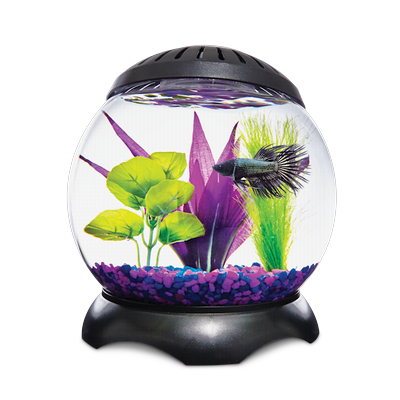 Imagitarium 1.3 Gallon Lotus Tank