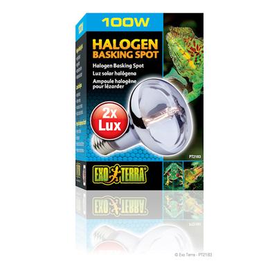 Exo-Terra Halogen Basking Spot Lamp, 100 Watts