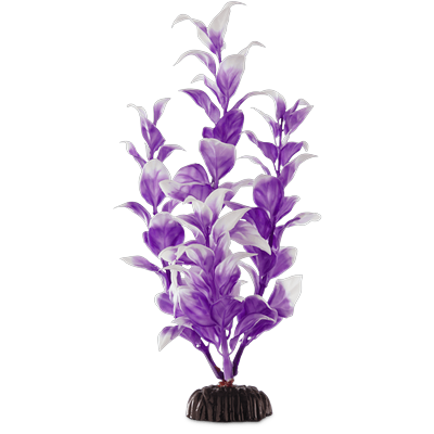 Imagitarium Purple & White Midground Ludwigia Aquarium Plant