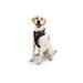 Black Front Walking Dog Harness, XX-Large/XXX-Large, XX-Large/3X-Large