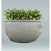 Allied Molded Products Orlando Composite Pot Planter Composite in Orange | 24 H x 72 W x 72 D in | Wayfair ORL-7224-PD-23