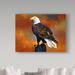 Millwood Pines 'The Eagle' Oil Painting Print on Wrapped Canvas in White/Black | 35 H x 47 W x 2 D in | Wayfair CB6C525AAEF74EAE906F1D8932CFBC85