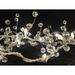 The Holiday Aisle® Groth 6' Indoor LED 20 - Bulb Fairy String Light | 0.4 H x 6 W in | Wayfair 64A12724F0A94C6E96CA9407F394EFA3