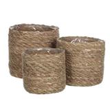 Highland Dunes 3 Piece Wicker Basket Seagrass in Brown | 6.3 H x 6.3 W x 6.3 D in | Wayfair CE29C8AD838B4527A2BED78336B11866