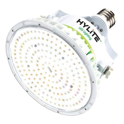 HyLite 01338 - HL-LS-40W-15-E39-30K Directional Flood HID Replacement LED Light Bulb