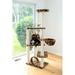 Armarkat 66" Classic Real Wood Cat Tree Manufactured Wood in Brown | 66 H x 20 W x 35 D in | Wayfair A6601