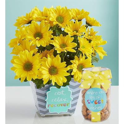 1-800-Flowers Everyday Gift Delivery Rest Relax Re...