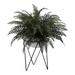 Wrought Studio™ River Fern Plant Resin/Plastic | 38 H x 36 W x 36 D in | Wayfair 04482AD818FC4696B581D2A1A770D5BC