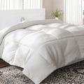 Latitude Run® 700 Thread Count All Season Down Comforter Goose Down, Cotton in White | 88 H x 68 W x 2 D in | Wayfair