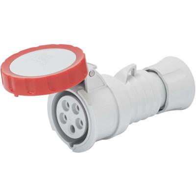 Gerade IP69 3P+N+E 32A Gerätesteckdose 380-415V 50/60Hz Rote Schraubverdrahtung Image