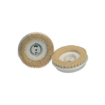 Regina/Koblenz Floor Machine Polisher Brushes #4501359