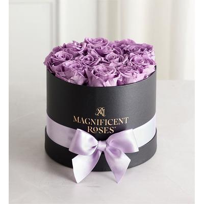 1-800-Flowers Flower Delivery Magnificent Preserved Roses Classic Lavender | 100% Satisfaction Guaranteed