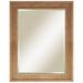 Darby Home Co Griffithville Beveled Bathroom/Vanity Mirror in Brown | 40 H x 30 W x 1.5 D in | Wayfair 70530422B3284FC4ACF7A5E0F5A99EC0