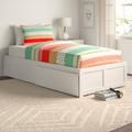 Harriet Bee Cullers Extra Long Twin Platform Bed Wood/Solid Wood in White | 16 H x 41.63 W x 82.5 D in | Wayfair BA674057D3C7420695C68623A071F19D