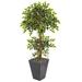 Charlton Home® 60" Artificial Ficus Tree in Planter Silk/Plastic/Stone in Gray | 60 H x 26 W x 24 D in | Wayfair 6439CF8939BF4D2DBB55F07AC0856EF6