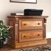 Lark Manor™ Zaphod 2-Drawer Lateral Filing Cabinet Wood in Brown/Red | 30 H x 41 W x 22 D in | Wayfair 34773F48E92844F78188BEAFFEDF9EA0