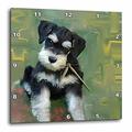 3dRose DPP 4158 Picto 3 Miniatur Schnauzer-Wall Uhr, 15 von 15 Zoll