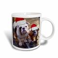 3dRose English Bulldog Weihnachten Becher Wearing Santa Hüte, 15 oz, Keramik, Mehrfarbig, 11,43 x 8,45 x 12,7 cm