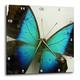 3dRose Florida Schmetterling 33 cm (DPP 13935 _ 2), 13 x 13 Wanduhr