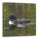 3dRose British Columbia. gemeinsamen Loon bird-cn02 csl0065-charles Sleicher 25,4 cm (DPP 70326 _ 1), 10 x 10 Wanduhr