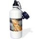 3dRose WB 83817 _ 1 Wanderfalke, Bird Native zu us-na02 dno0142-david Northcott Sport Wasser Flasche, 21 Oz, weiß