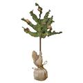 CWI Gifts Cypress Pine Topiary, 30-Inch