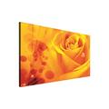 BILD WANDBILD BILDER WANDBILDER CANVAS- GELB YELLOW ROSE 217 O1