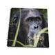 3dRose Tanzania-Male Schimpanse. – Zeichenheft, 8 20,3 cm (DB 210130 _ 1), 20,3 x 20,3 cm